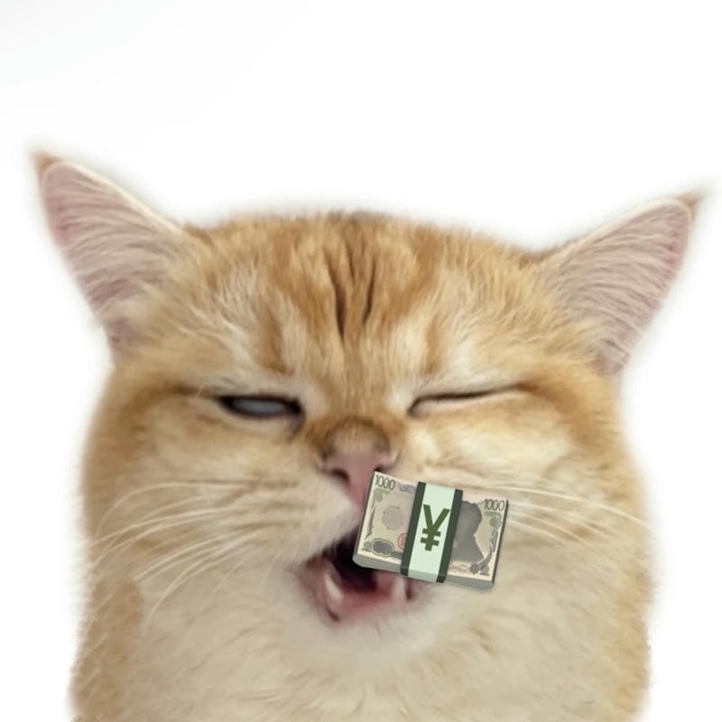 Ảnh hài mèo nháy mắt với cọc tiền