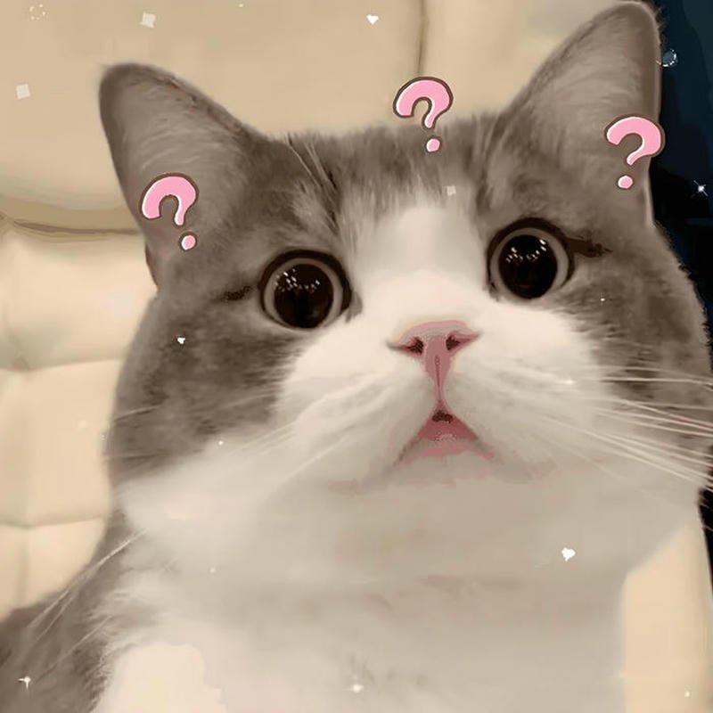 Ảnh meme ai biết gì đâu mèo bự cute