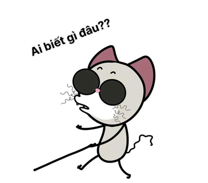 Ảnh meme ai biết gì đâu phong thái thờ ơ