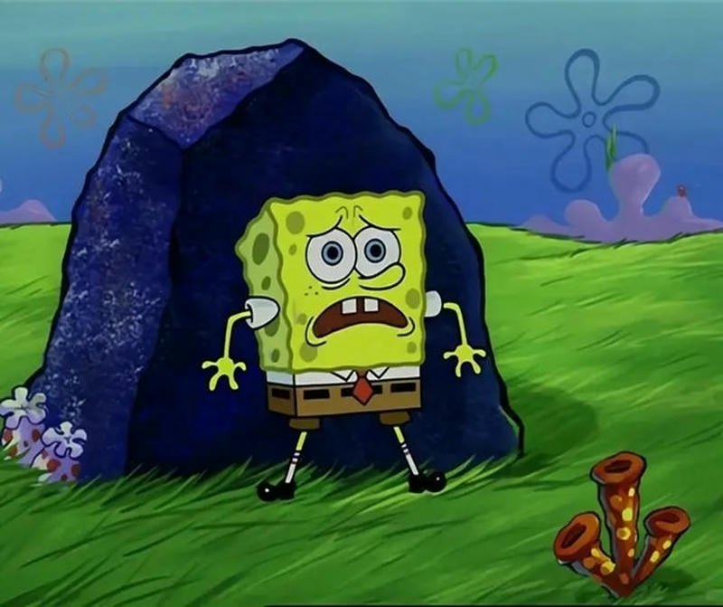 Ảnh meme bọt biển hốt hoảng mà sợ hãi