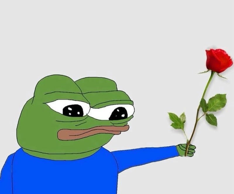 Ảnh meme ếch xanh bựa tặng hoa hồng