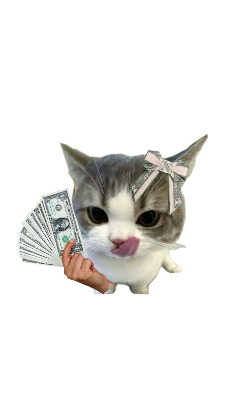 Ảnh meme khoảnh khắc đếm tiền với mèo lè lưỡi