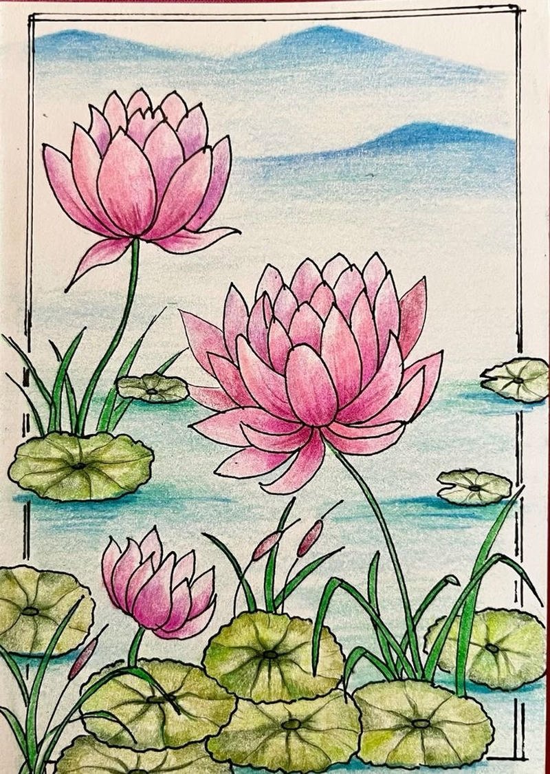 Bản phác họa hoa sen nở giữa đầm nước tĩnh lặng