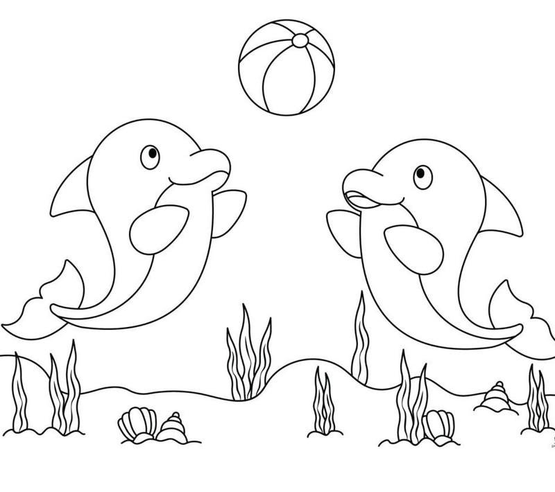 Bản vẽ cá heo nhỏ đáng yêu cho bé luyện tô