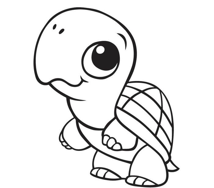 Bản vẽ hình con rùa tô màu đơn giản cute