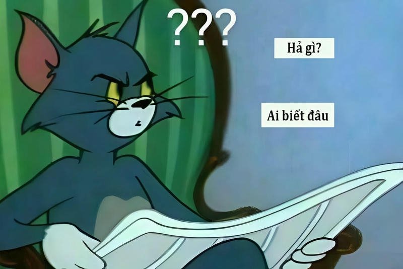 Bức hình meme ai biết gì đâu mèo Tôm ngộ nghĩnh