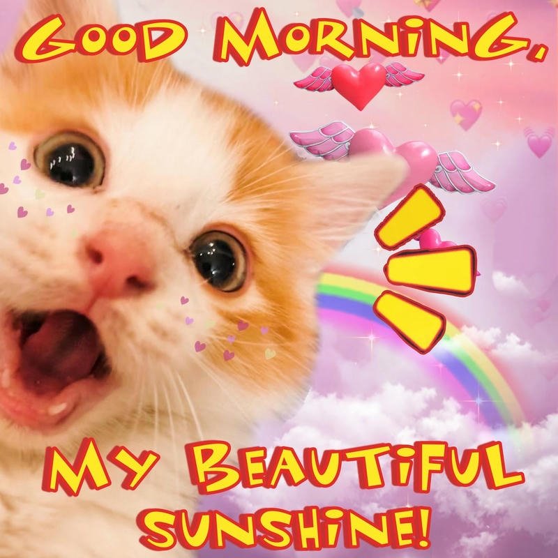 Bức hình meme chào buổi sáng hài hước vui nhộn