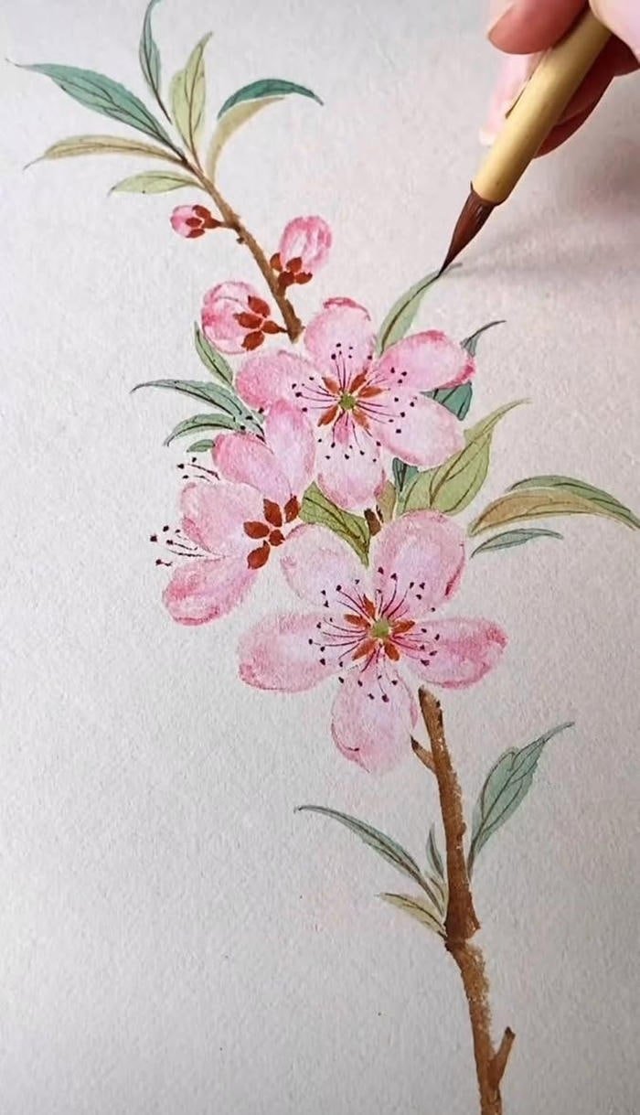 Bức họa phong cảnh hoa đào nhẹ nhàng tinh tế