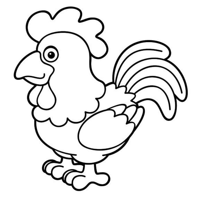 Bức minh họa gà trống dành cho trẻ mầm non
