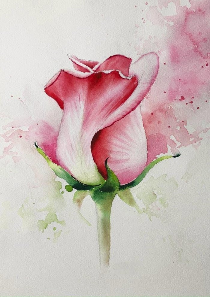 Bức tĩnh vật nhẹ nhàng khi vẽ tranh tĩnh vật hoa hồng