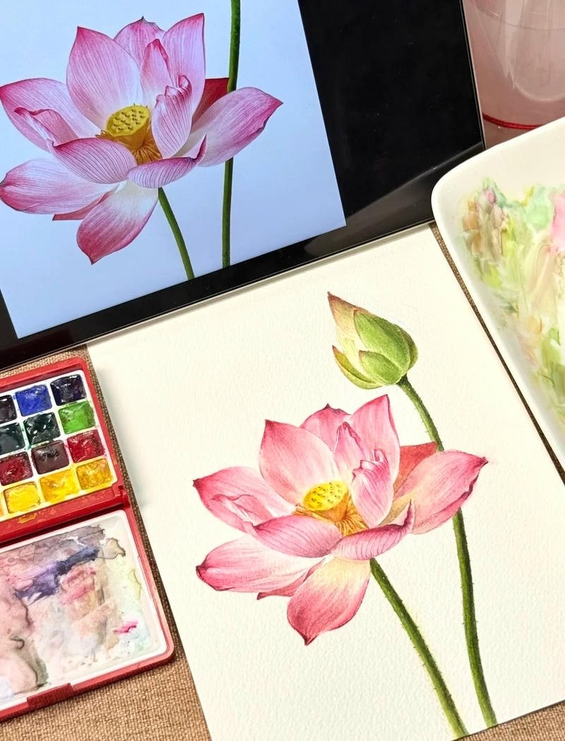 Bức tranh hoa sen nhẹ nhàng phong cảnh đồng quê