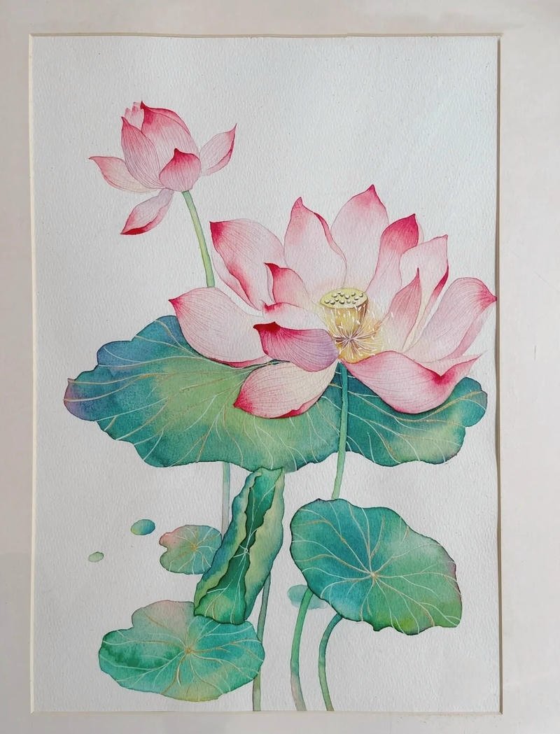 Bức tranh vẽ hoa sen đẹp trong cảnh hồ sen