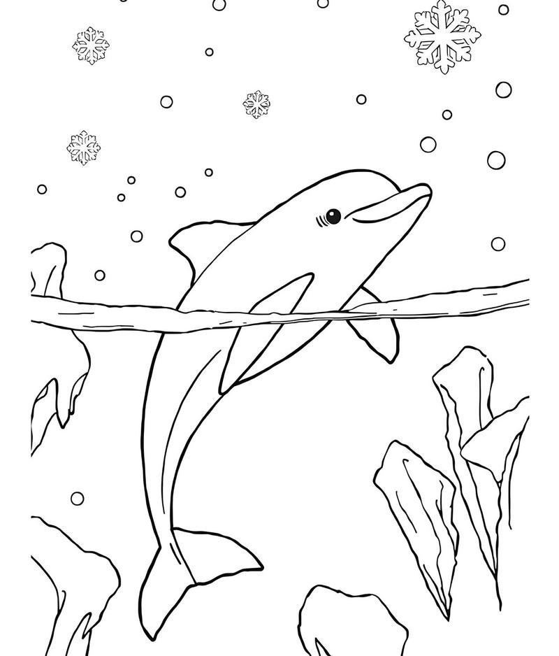 Bức vẽ cá heo bơi trong đại dương cho bé