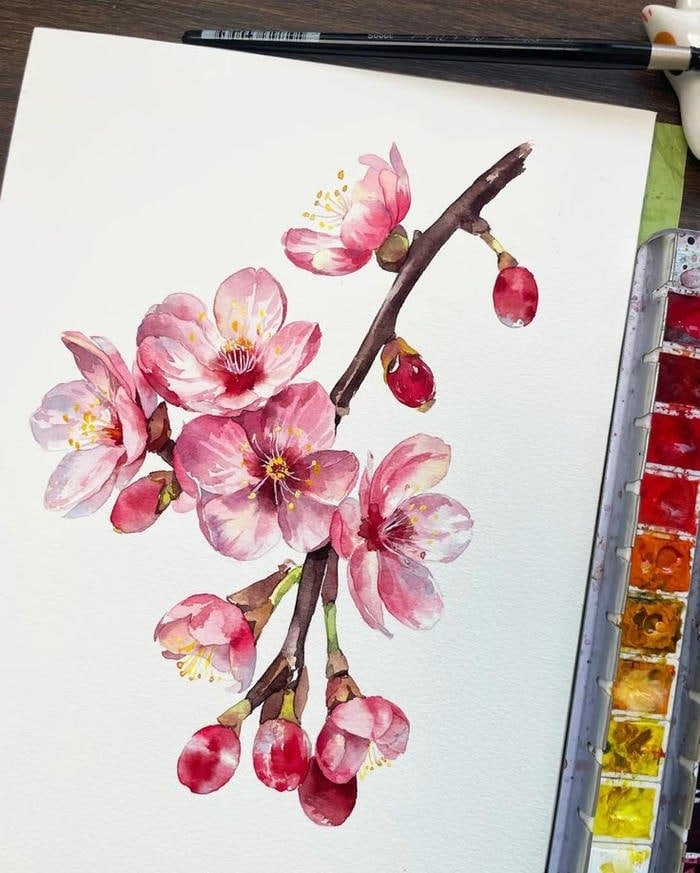 Cảnh núi non xứ Lạng bức họa hoa xuân