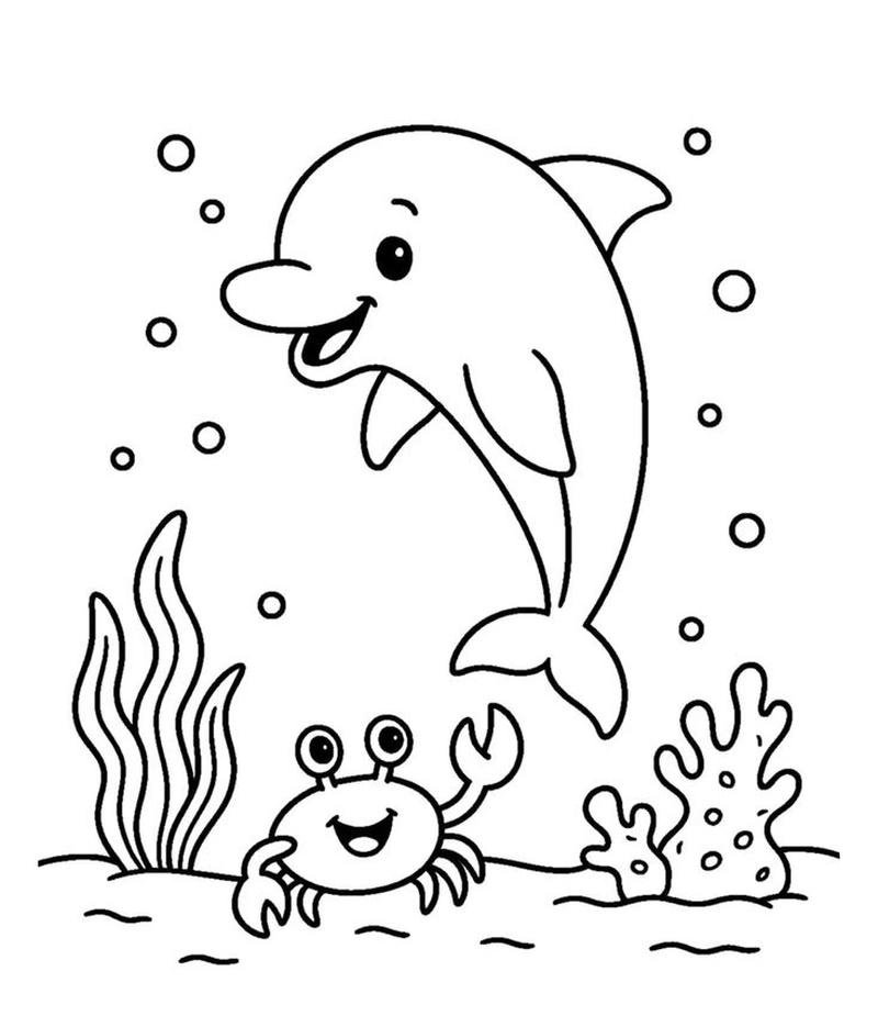 Chú cá heo hoạt hình cho bé luyện tô màu