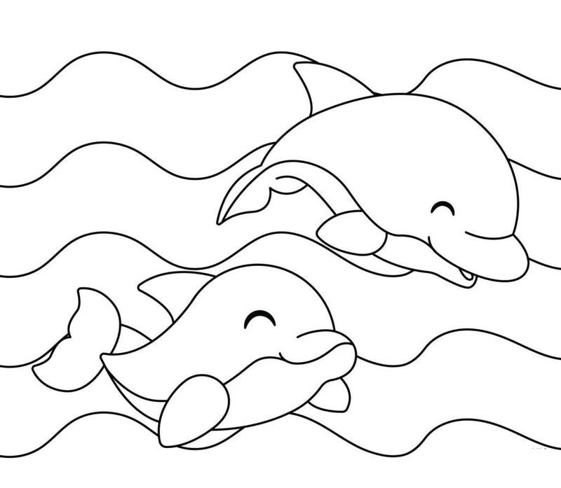 Chú cá heo vui nhộn cho trẻ tập vẽ