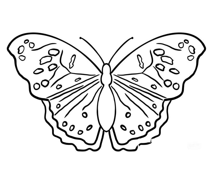 Chủ đề cánh bướm trang trí cho bé tô màu