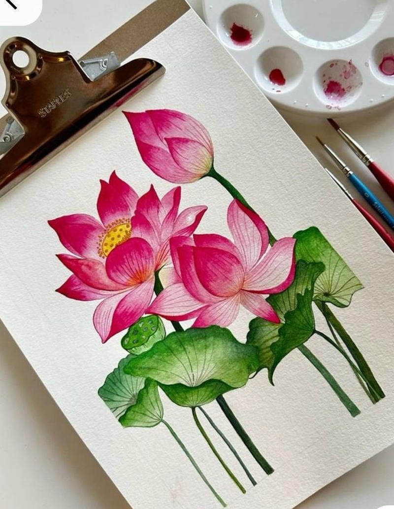 Chủ đề hoa sen tranh vẽ mang vẻ đẹp thanh nhã