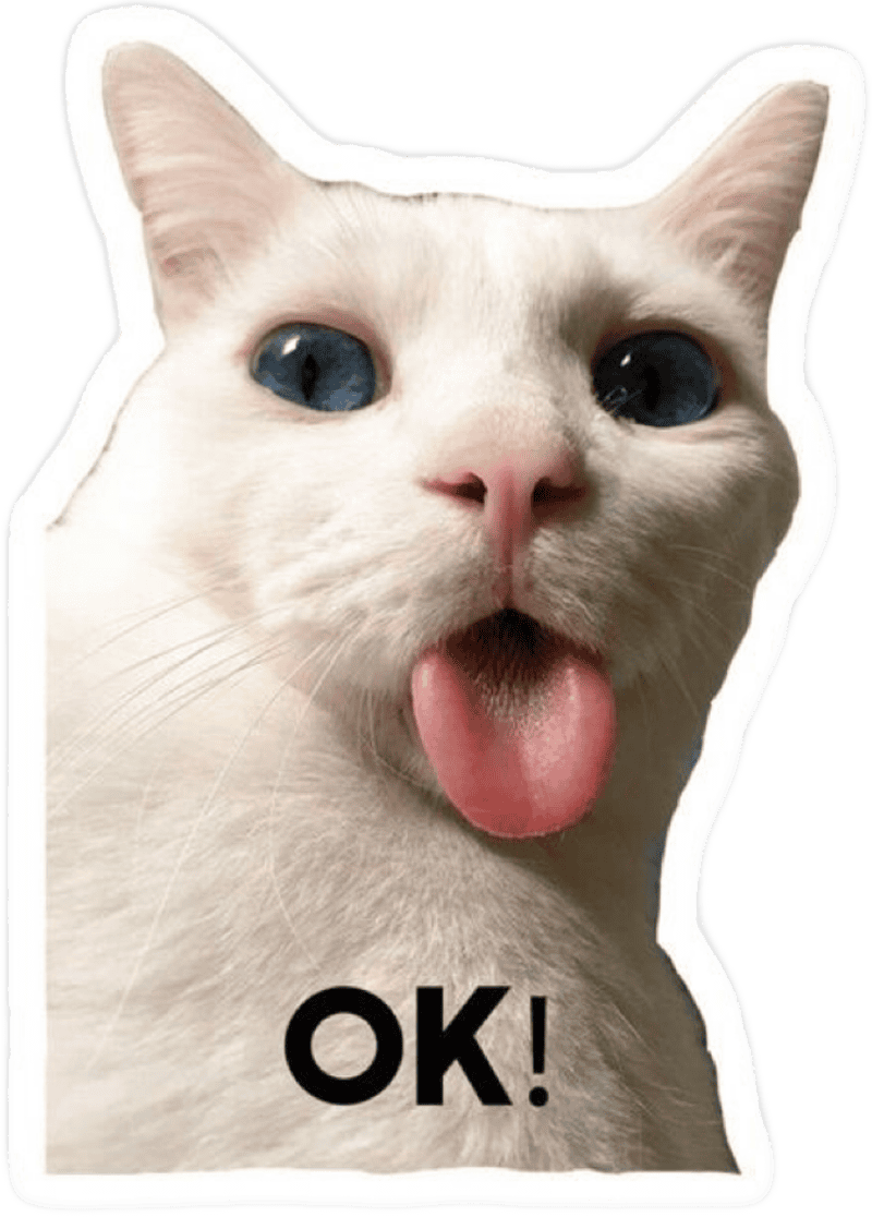 Chữ ok con mèo trắng bựa làm sticker
