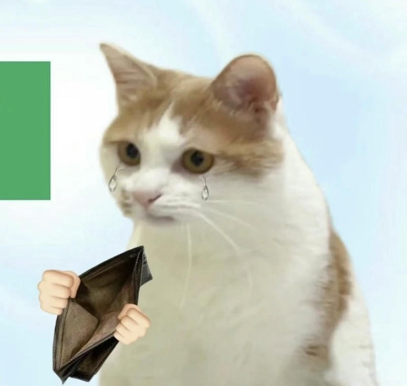Con mèo mở ví trống với biểu cảm meme ví rỗng