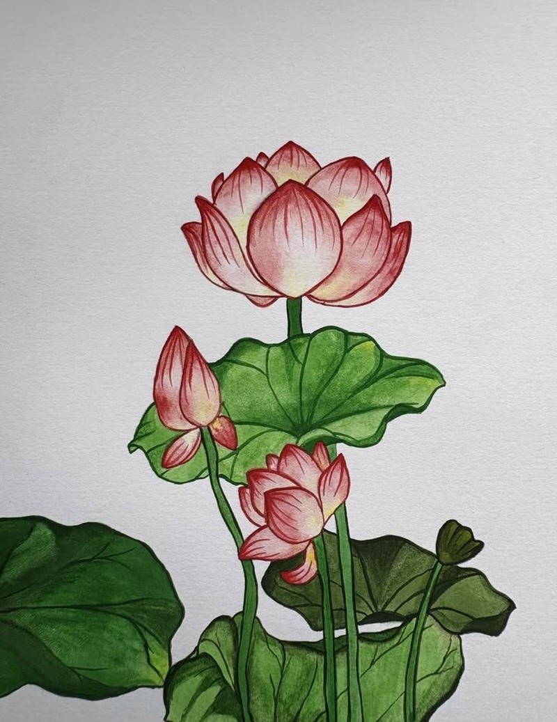 Đề tài hoa sen tranh vẽ trong hồ nước thiên nhiên