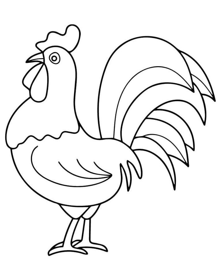 Gà trông dáng đứng oai vệ hình đen trắng