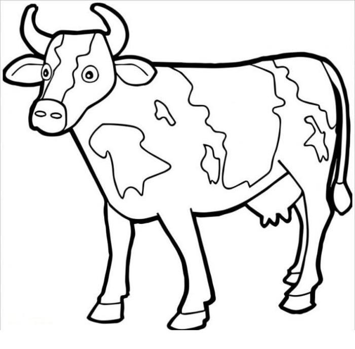 Hình ảnh con bò cho bé tô màu sáng tạo