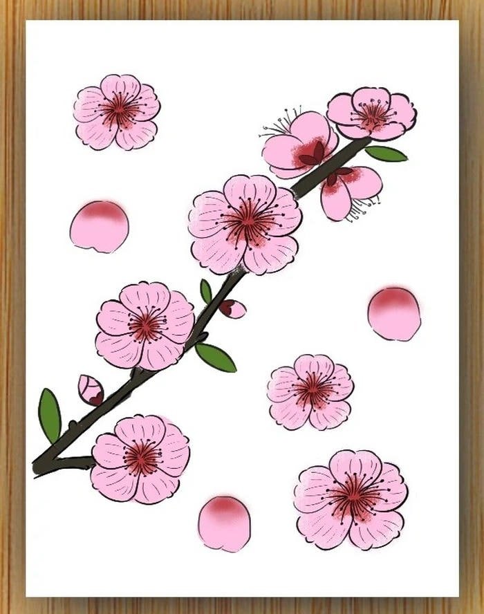 Hình ảnh hoa anh đào nở rộ giữa trời xuân