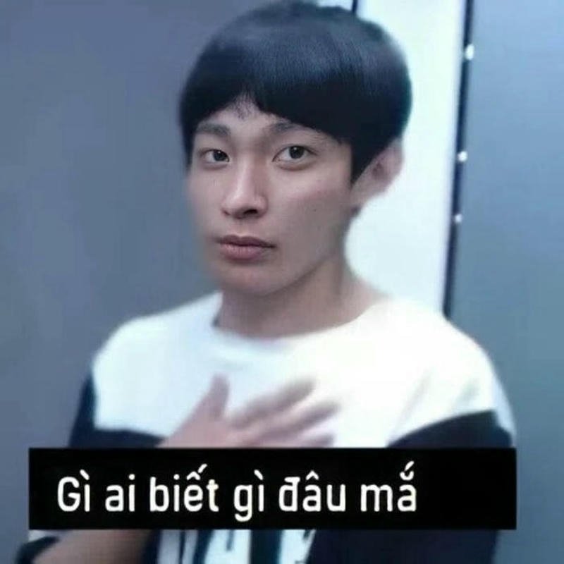 Hình ảnh meme ai biết gì đâu mặt đơ