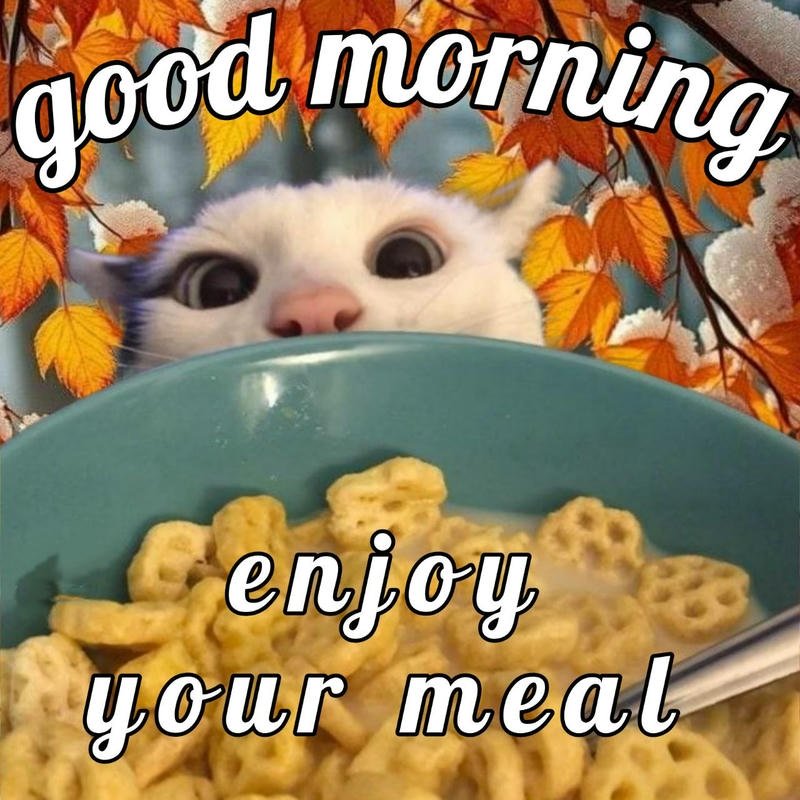 Hình ảnh meme chào buổi sáng hài hước vui vẻ