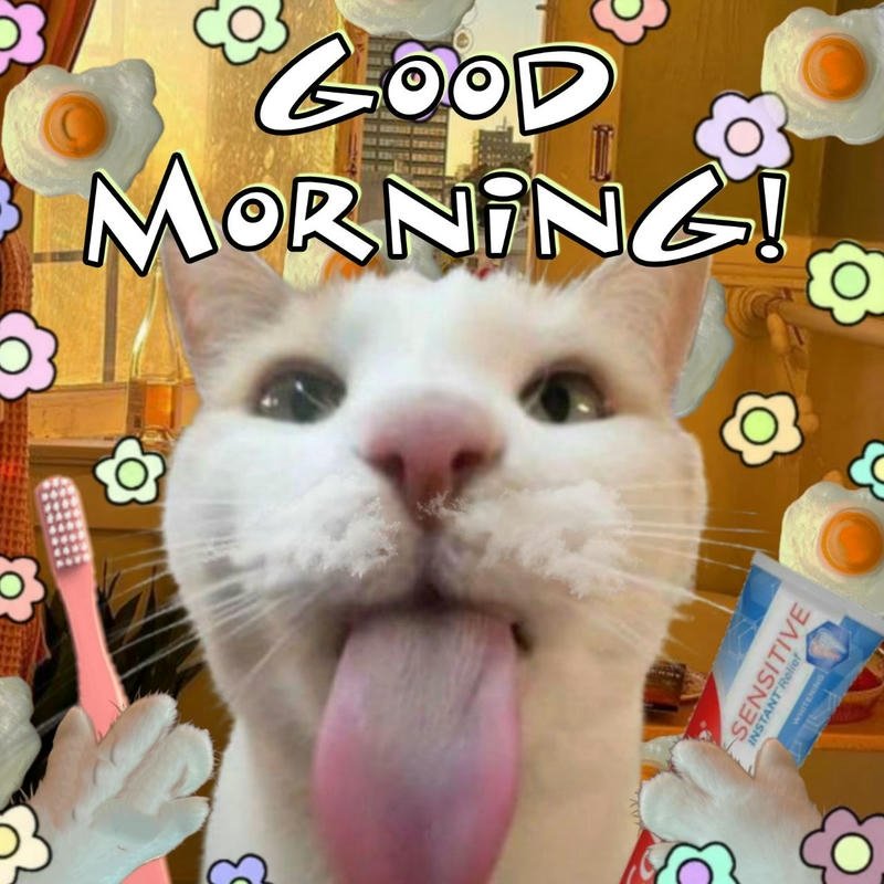 Hình ảnh meme chào buổi sáng ngộ nghĩnh dễ thương