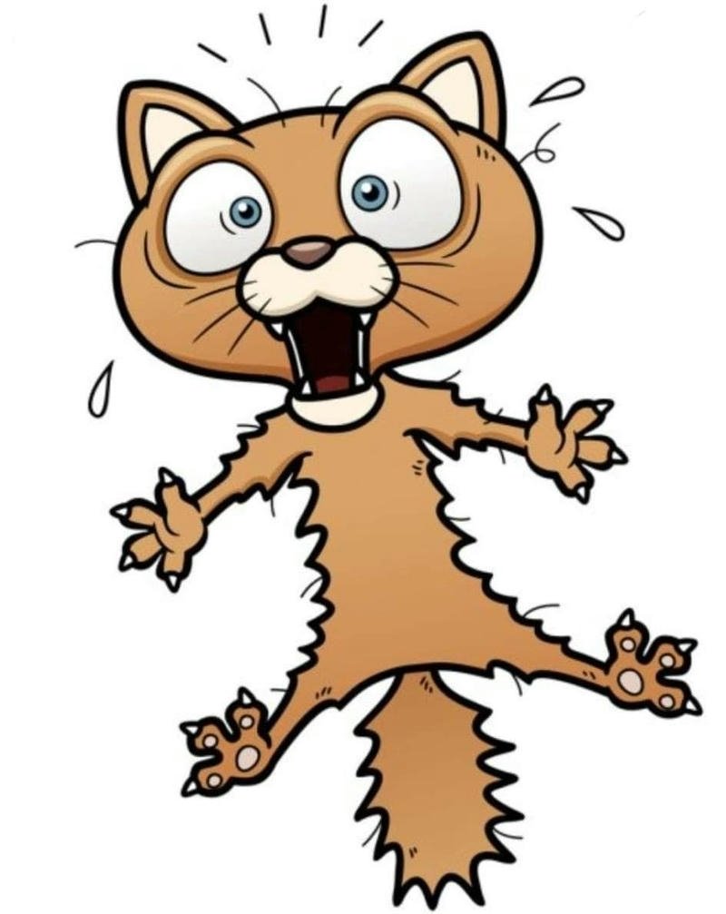 Hình ảnh meme hốt hoảng gương mặt hoảng hốt buồn cười