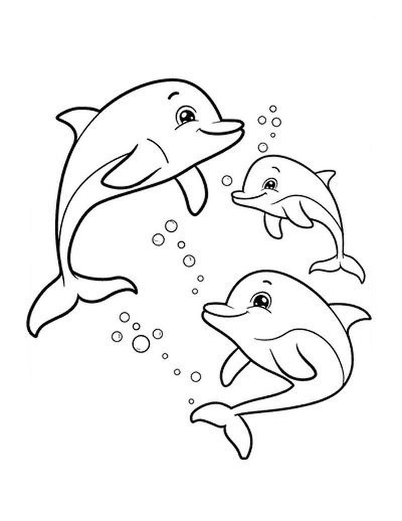 Hình vẽ cá heo biển đơn giản cho trẻ nhỏ