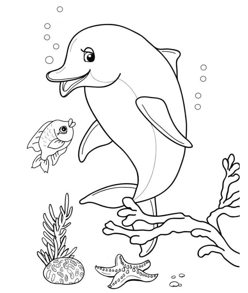 Hình vẽ cá heo nhỏ ngộ nghĩnh cho trẻ em