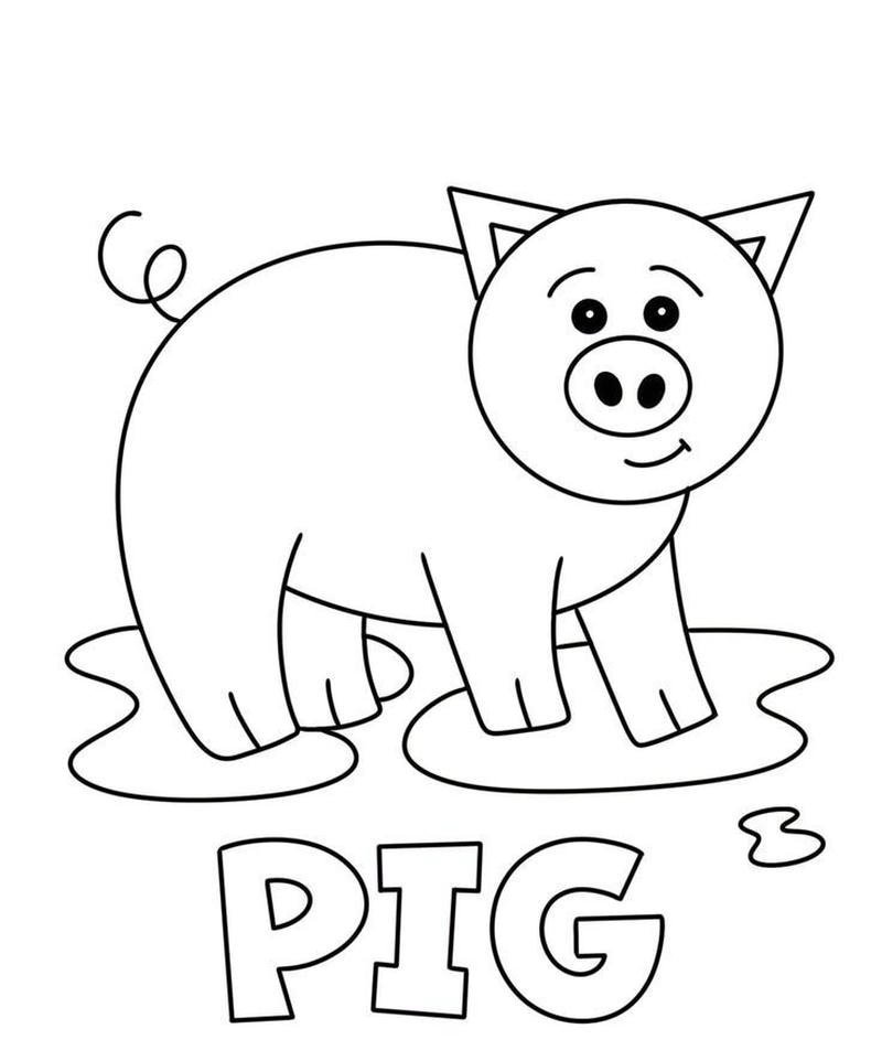 Hình vẽ heo con hoạt hình cho trẻ em tập vẽ
