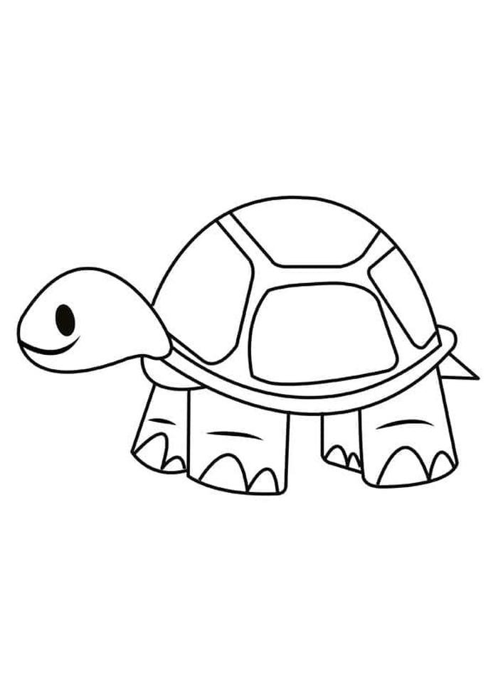 Hình vẽ rùa biển đáng yêu cho bé tập tô