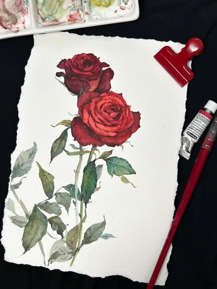 Khung cảnh tường leo phủ đầy hoa sắc đỏ