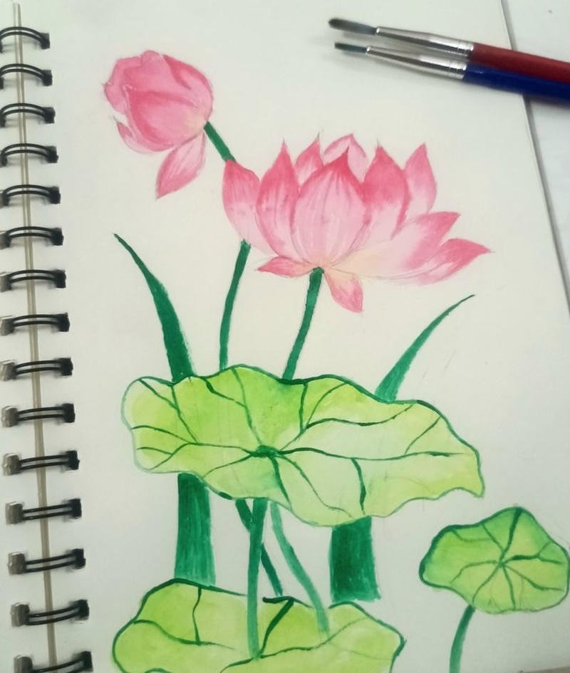 Mẫu hoa sen tranh vẽ trong khung cảnh đầm sen