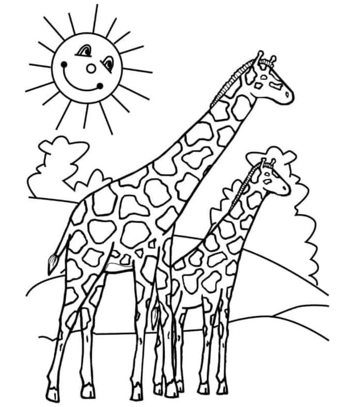 Mẫu phác thảo đơn giản dành hoạt động tập tô màu