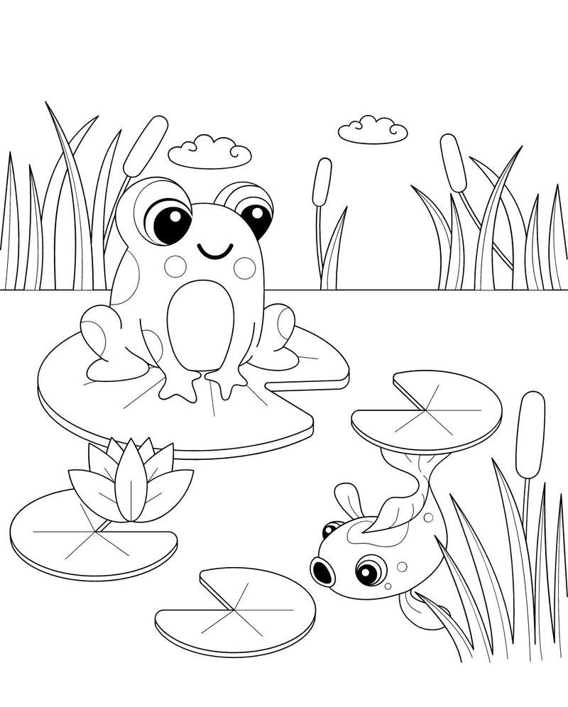 Mẫu tô màu hình con ếch ngộ nghĩnh cho bé