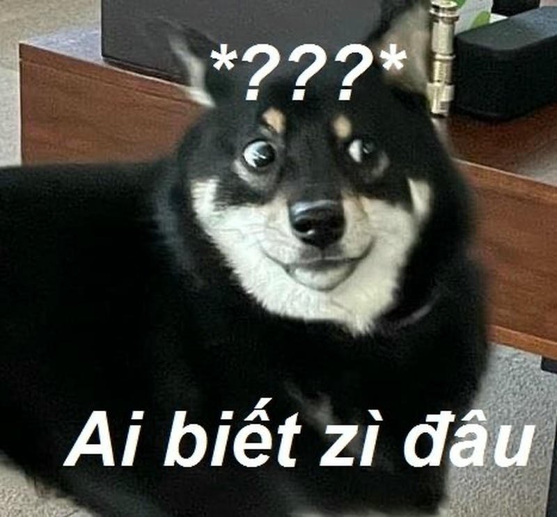 Meme ai biết gì đâu gương mặt ngây ngô siêu lầy