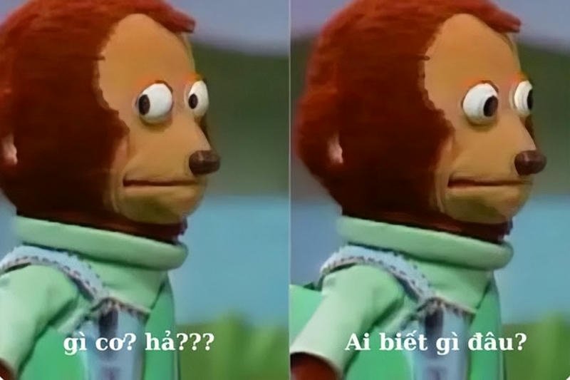 Meme ai biết gì đâu gương mặt ngơ ngác cực hài