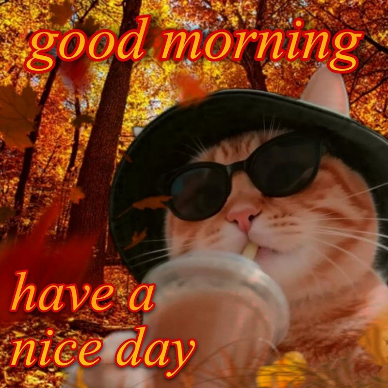 Meme chào buổi sáng đáng yêu chúc ngày mới tốt