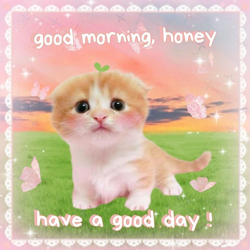 Meme chào buổi sáng đáng yêu tạo động lực nhẹ