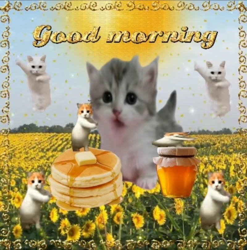 Meme chào buổi sáng dễ thương mang cảm giác tích cực