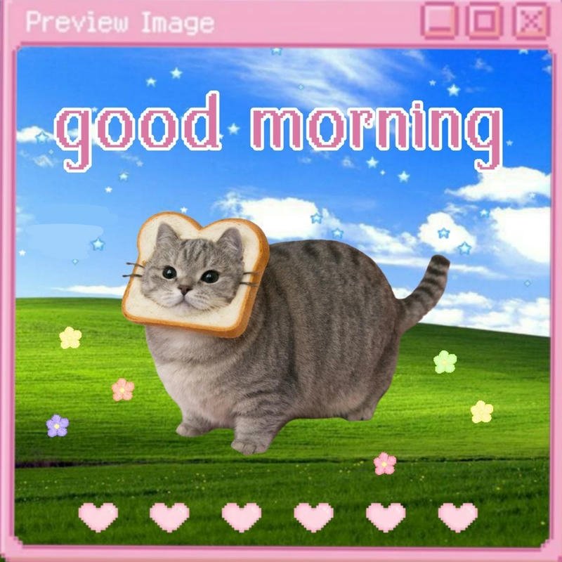 Meme chào buổi sáng hài hước giúp tinh thần thoải mái