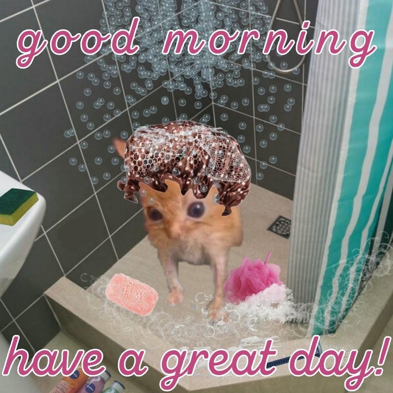 Meme chào buổi sáng hài hước tạo cảm hứng