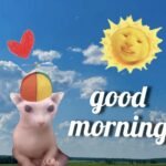 Meme chào buổi sáng thumbnail