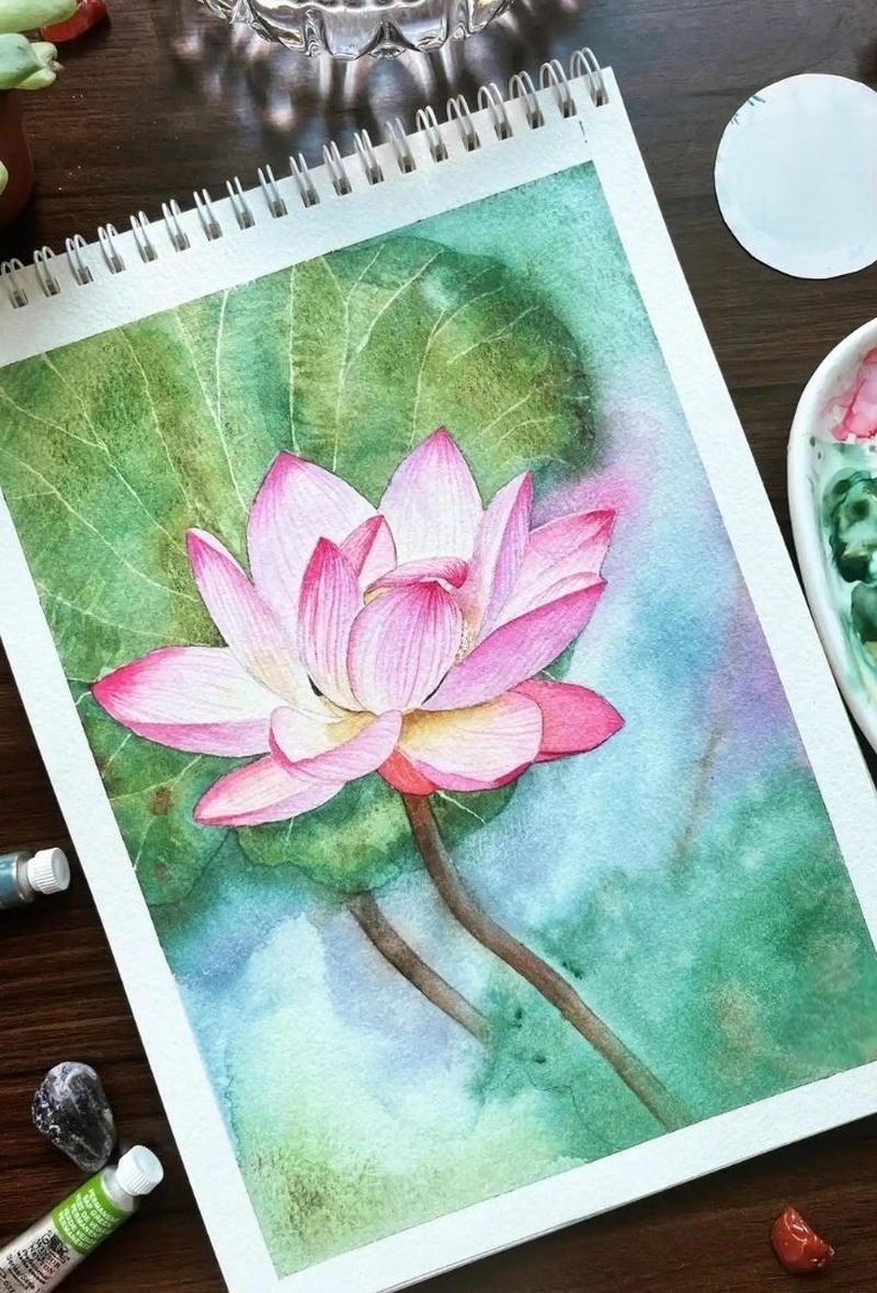 Minh họa hoa sen với lá sen lớn trên mặt hồ