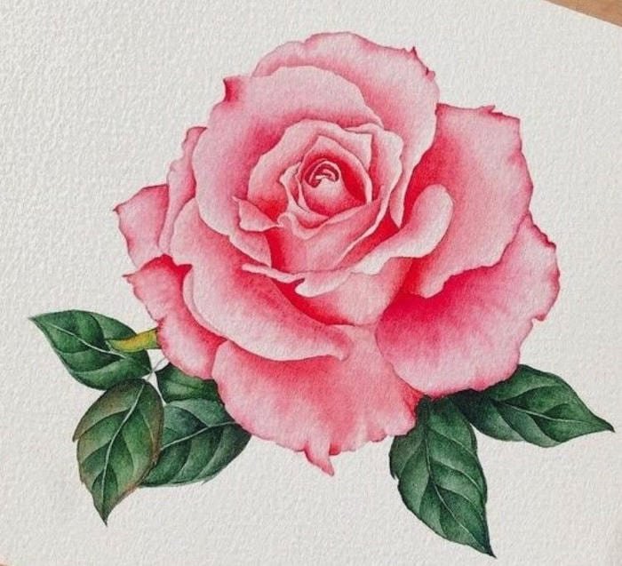 Nét chì tinh giản tạo nên bố cục hài hòa